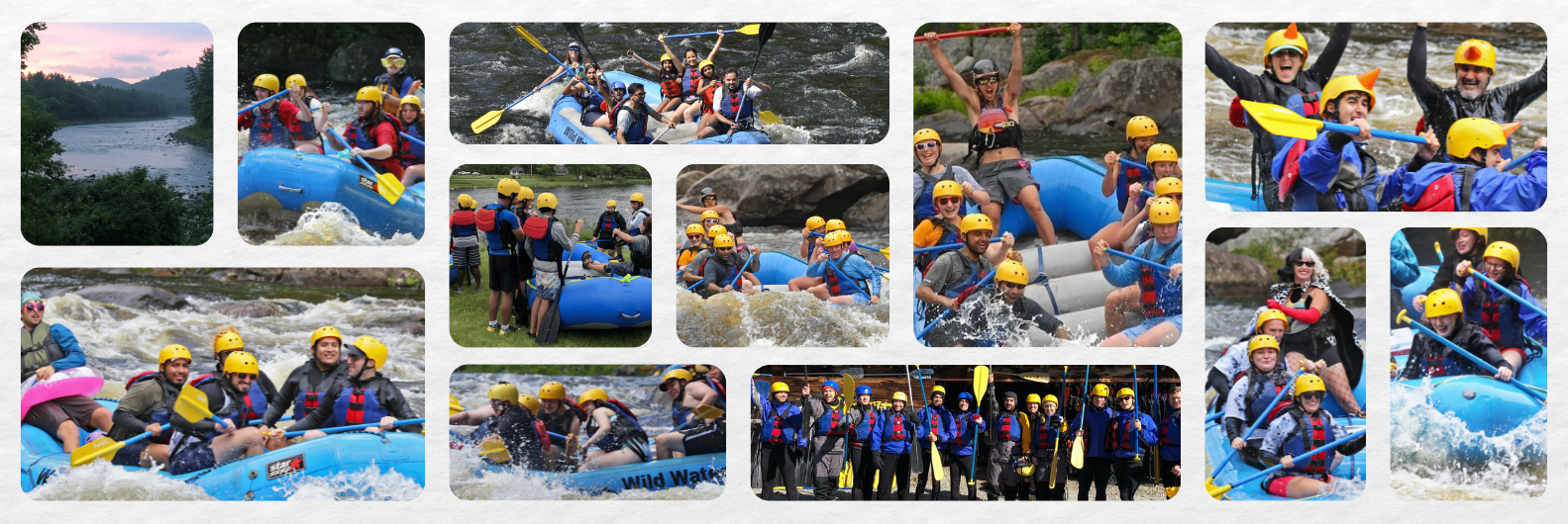 a bunch of items that are posing for a photo